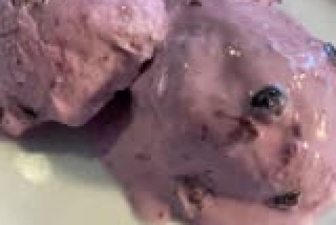 Borůvková low carb zmrzlina