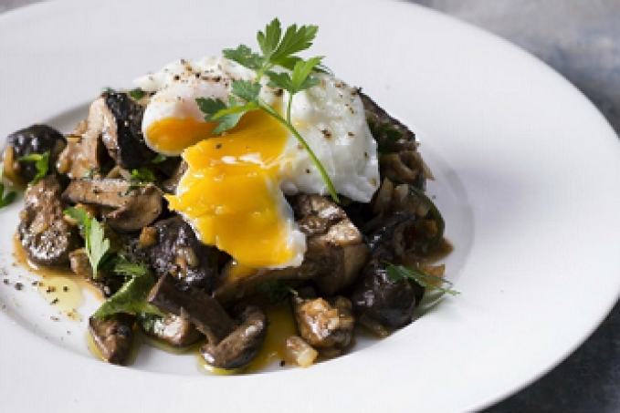 Houbové ragú ze zastřeným vejcem