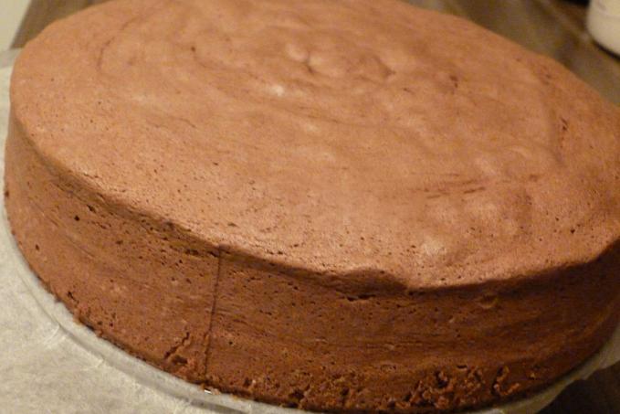 Kakaový olejový korpus na dort