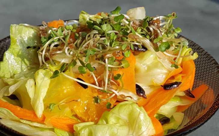 Salát s naklíčenou rucolou a slunečnicovými semínky