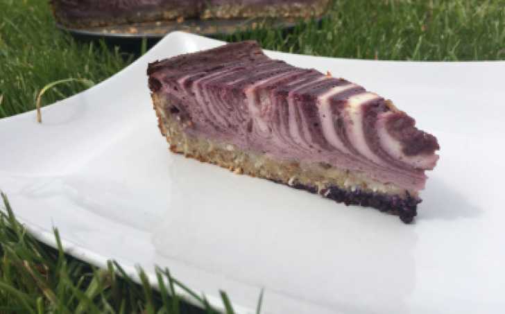 Kefírový dort s borůvkami ( redukční)