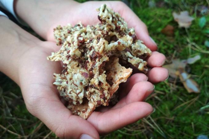 Domácí sýrové krekry s ořechy a semínky