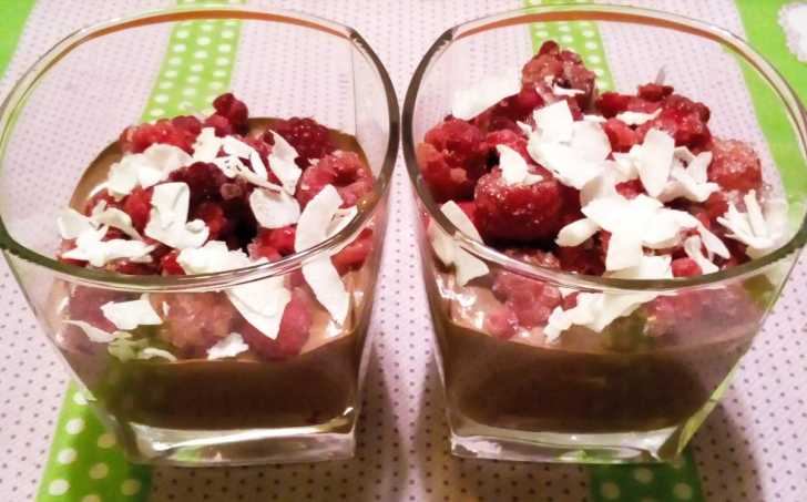 TERMIX s kokosovou vrstvou - nízkosacharidový