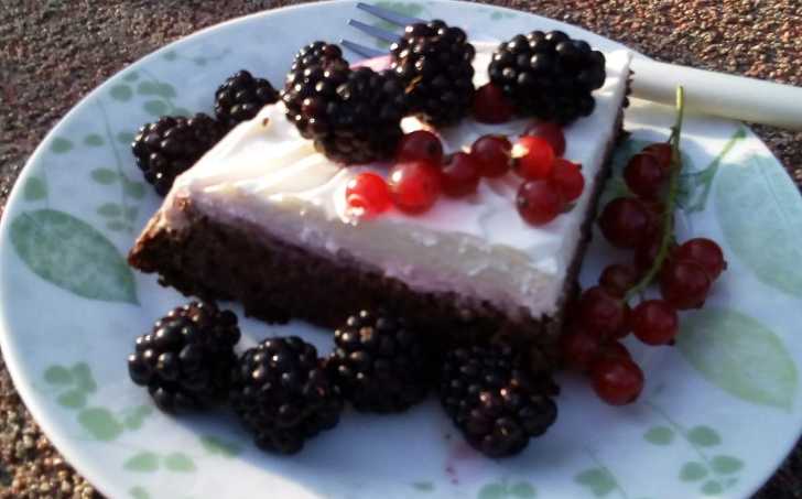 KOLÁČ Z ČERVENÉ ŘEPY - LC