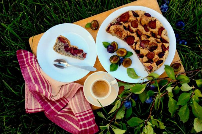 Makový piškotový koláč se švestkami