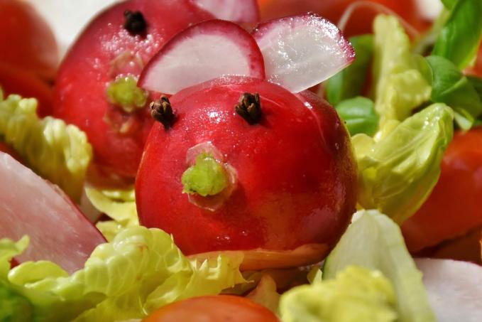 Zeleninový salát s krůtím masem