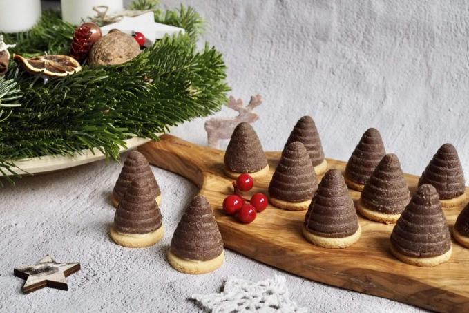 Vosí hnízda či včelí úly - LC