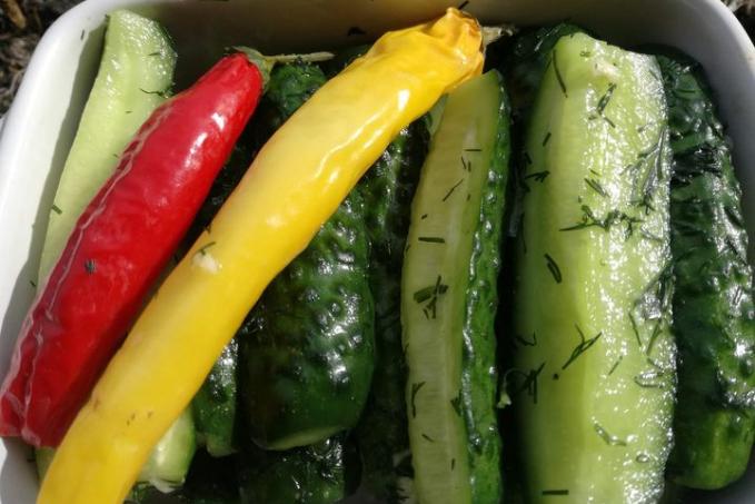 Mírně solené okurky