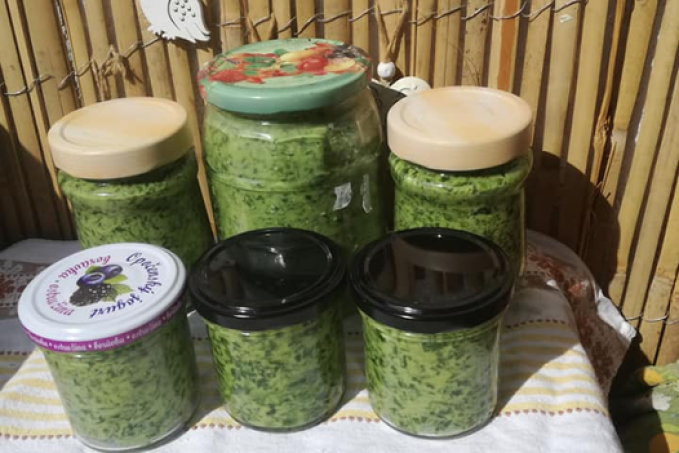 Medvědí česnek v ghíčku