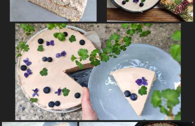 Oříškovo-tvarohový dort