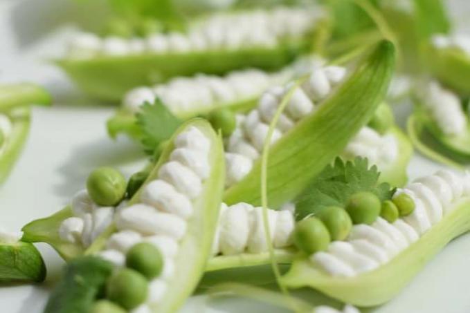 Plněná ačokču čerstvým kozím sýrem zbobená hráškem a koriandrem