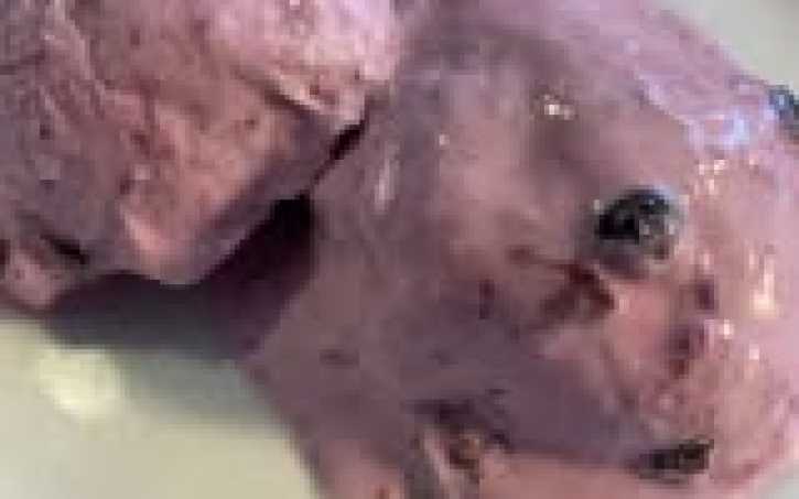 Borůvková low carb zmrzlina