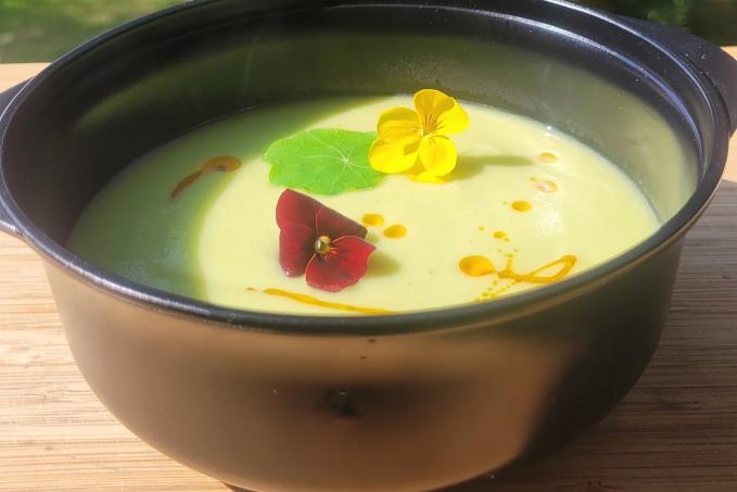 Avokádová polévka