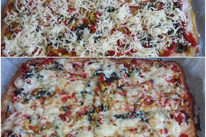 PIZZA LC (fat-head těsto)