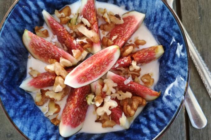 Řecký dezert - jogurt s fíky, ořechy a medem