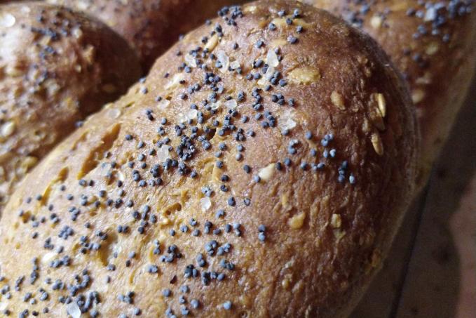 Kornspitz kynutý LC