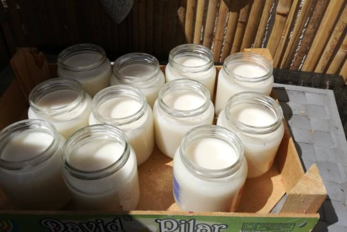 Domácí kokosové máslo