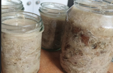 RILLETTES