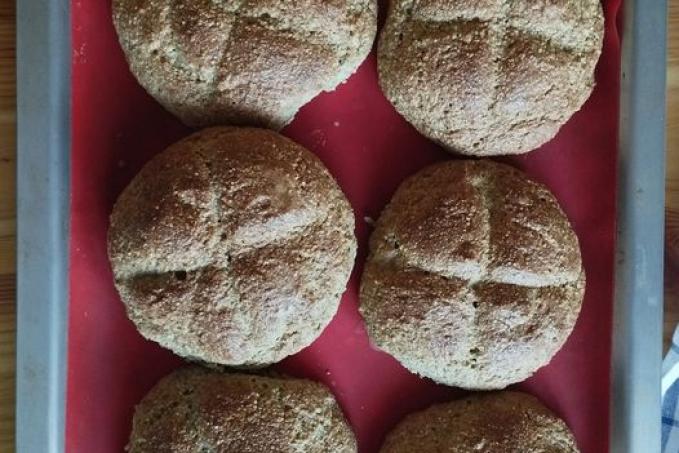 Housky tvarohové - LC